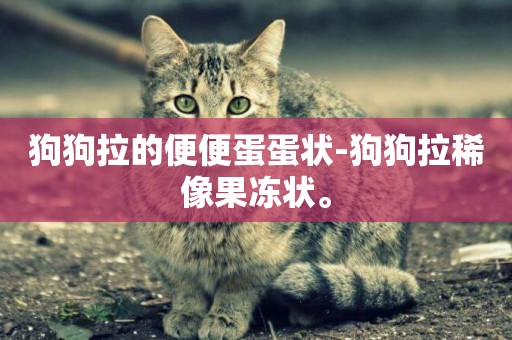 狗狗拉的便便蛋蛋狀-狗狗拉稀像果凍狀。