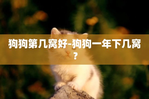 狗狗第幾窩好-狗狗一年下幾窩？