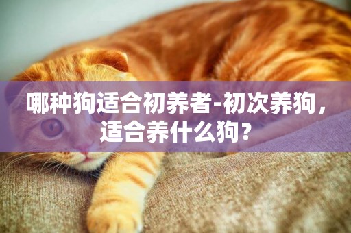 哪種狗適合初養者-初次養狗，適合養什么狗？
