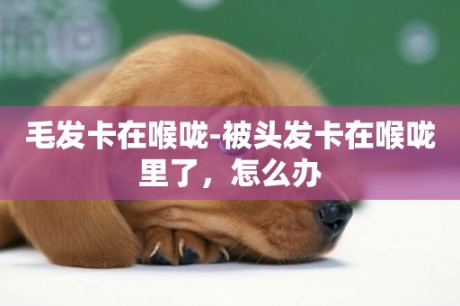 毛發卡在喉嚨-被頭發卡在喉嚨里了，怎么辦