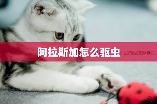阿拉斯加怎么驅蟲