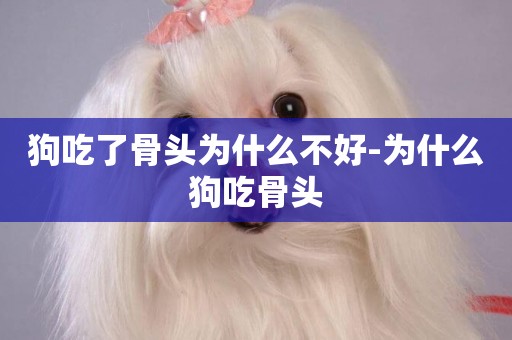 狗吃了骨頭為什么不好-為什么狗吃骨頭