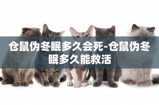 倉鼠偽冬眠多久會死-倉鼠偽冬眠多久能救活