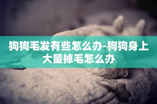 狗狗毛發有些怎么辦-狗狗身上大量掉毛怎么辦