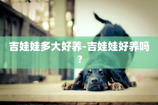 吉娃娃多大好養-吉娃娃好養嗎？
