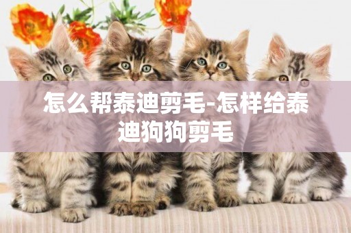 怎么幫泰迪剪毛-怎樣給泰迪狗狗剪毛