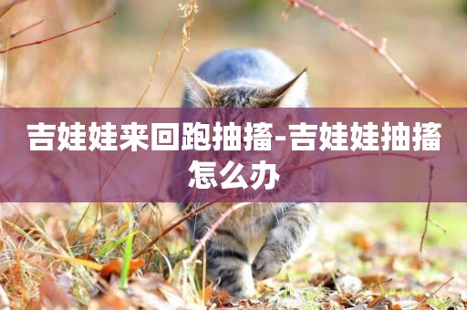 吉娃娃來回跑抽搐-吉娃娃抽搐怎么辦
