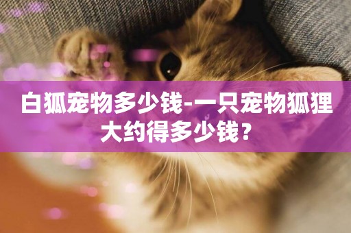 白狐寵物多少錢-一只寵物狐貍大約得多少錢？