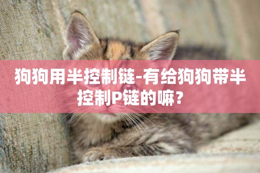 狗狗用半控制鏈-有給狗狗帶半控制P鏈的嘛？