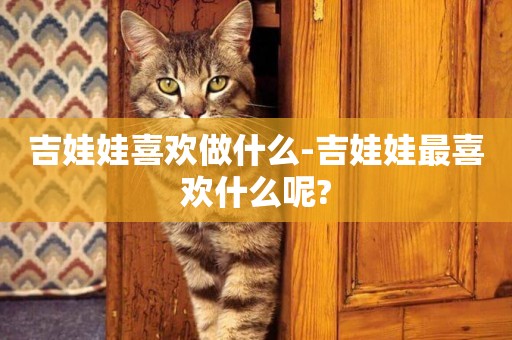 吉娃娃喜歡做什么-吉娃娃最喜歡什么呢?