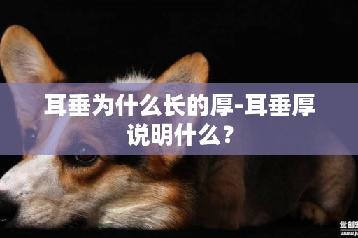 耳垂為什么長的厚-耳垂厚說明什么？