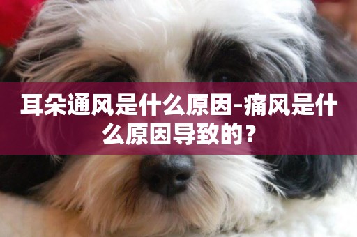 耳朵通風是什么原因-痛風是什么原因導致的？