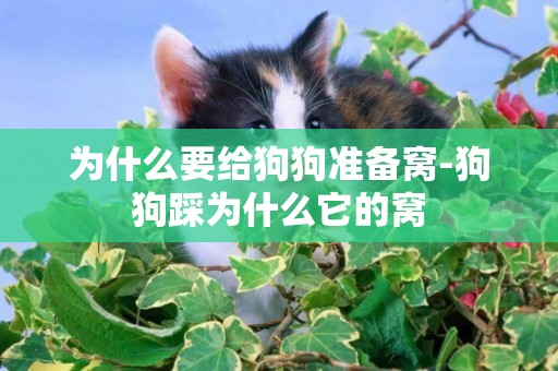 為什么要給狗狗準備窩-狗狗踩為什么它的窩