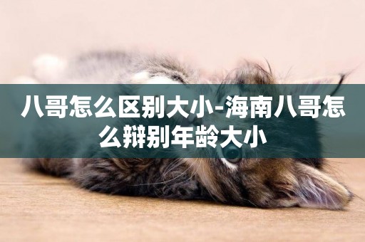 八哥怎么區別大小-海南八哥怎么辯別年齡大小