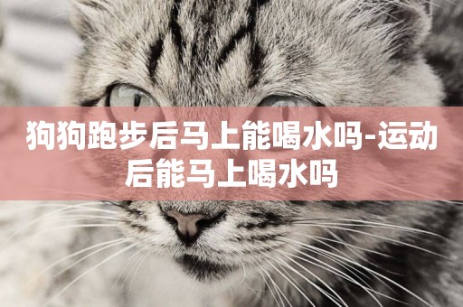 狗狗跑步后馬上能喝水嗎-運動后能馬上喝水嗎