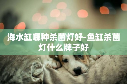 海水缸哪種殺菌燈好-魚缸殺菌燈什么牌子好