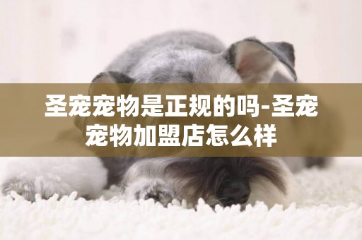 圣寵寵物是正規的嗎-圣寵寵物加盟店怎么樣