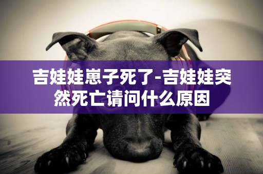 吉娃娃崽子死了-吉娃娃突然死亡請問什么原因
