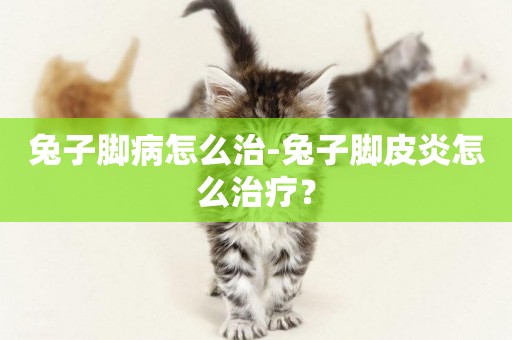兔子腳病怎么治-兔子腳皮炎怎么治療？