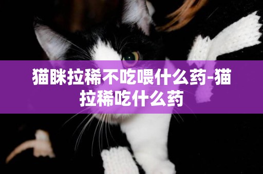 貓瞇拉稀不吃喂什么藥-貓拉稀吃什么藥