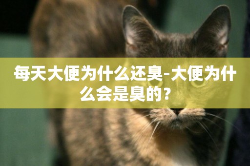 每天大便為什么還臭-大便為什么會是臭的？