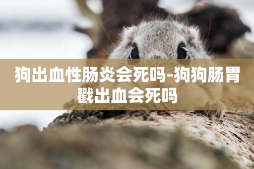 狗出血性腸炎會死嗎-狗狗腸胃戳出血會死嗎