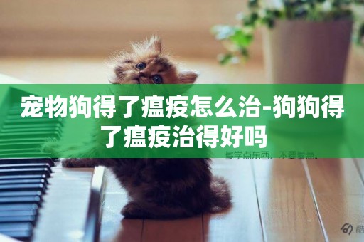 寵物狗得了瘟疫怎么治-狗狗得了瘟疫治得好嗎