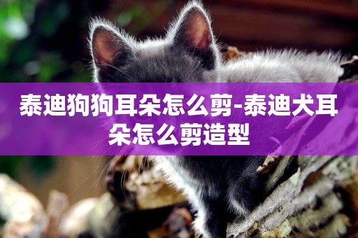 泰迪狗狗耳朵怎么剪-泰迪犬耳朵怎么剪造型