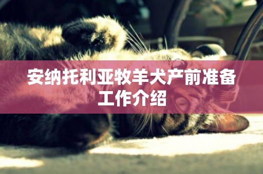 安納托利亞牧羊犬產前準備工作介紹