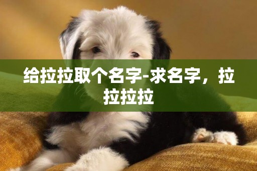給拉拉取個名字-求名字，拉拉拉拉