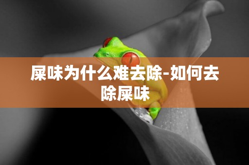 屎味為什么難去除-如何去除屎味