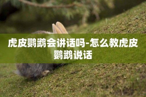 虎皮鸚鵡會講話嗎-怎么教虎皮鸚鵡說話