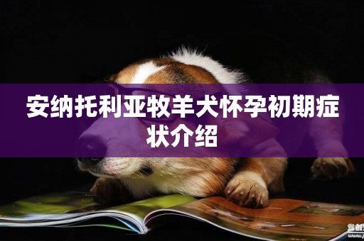 安納托利亞牧羊犬懷孕初期癥狀介紹