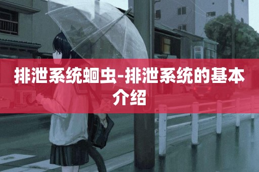 排泄系統蛔蟲-排泄系統的基本介紹