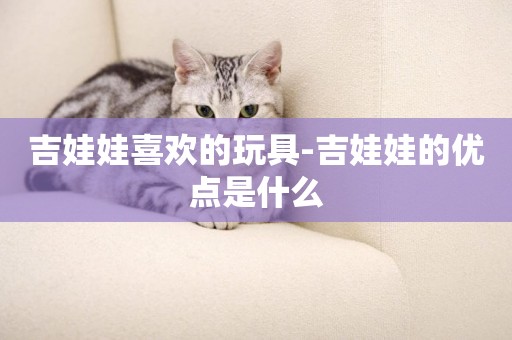 吉娃娃喜歡的玩具-吉娃娃的優點是什么