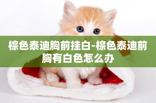 棕色泰迪胸前掛白-棕色泰迪前胸有白色怎么辦