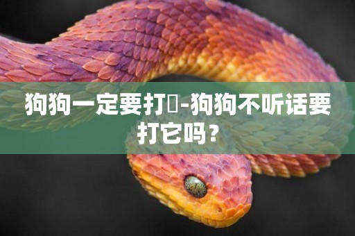 狗狗一定要打嗎-狗狗不聽話要打它嗎？
