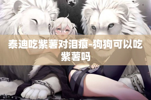 泰迪吃紫薯對淚痕-狗狗可以吃紫薯嗎