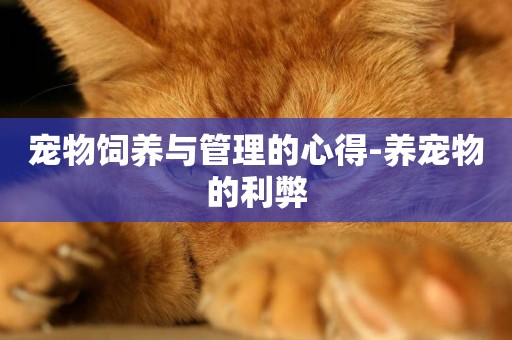 寵物飼養與管理的心得-養寵物的利弊