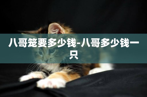八哥籠要多少錢-八哥多少錢一只