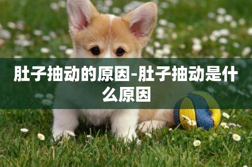 肚子抽動的原因-肚子抽動是什么原因