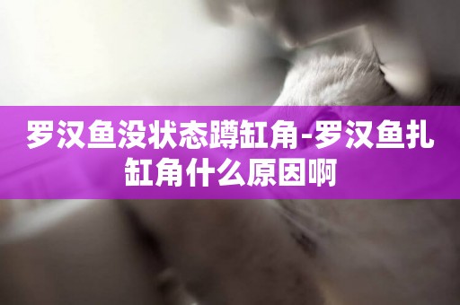 羅漢魚沒狀態蹲缸角-羅漢魚扎缸角什么原因啊