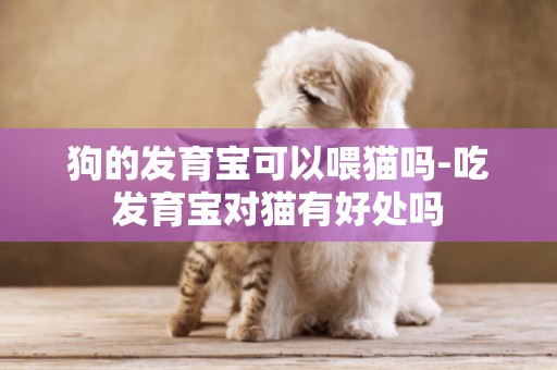 狗的發育寶可以喂貓嗎-吃發育寶對貓有好處嗎