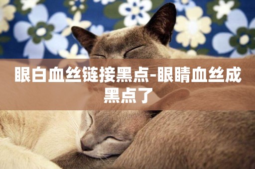 眼白血絲鏈接黑點-眼睛血絲成黑點了