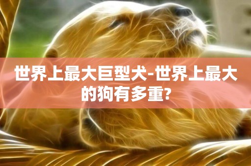 世界上最大巨型犬-世界上最大的狗有多重?