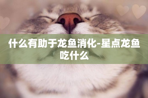 什么有助于龍魚消化-星點龍魚吃什么