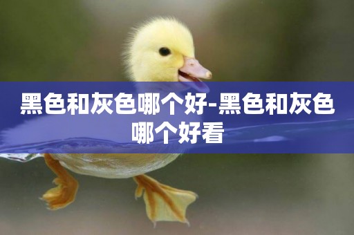 黑色和灰色哪個好-黑色和灰色哪個好看