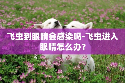 飛蟲到眼睛會感染嗎-飛蟲進入眼睛怎么辦？
