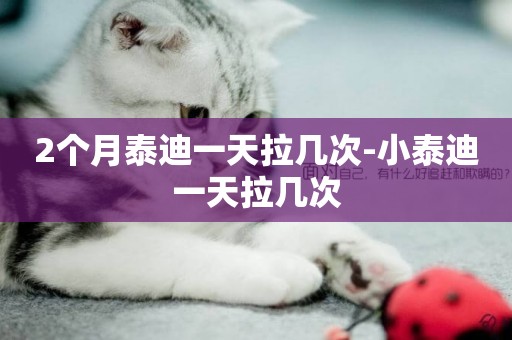 2個月泰迪一天拉幾次-小泰迪一天拉幾次