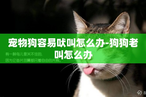 寵物狗容易吠叫怎么辦-狗狗老叫怎么辦